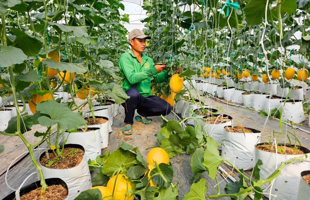 Thương hiệu nông sản